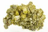 Lustrous Forest-Green Pyromorphite Crystal Cluster - China #260976-1